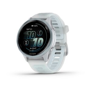 010-02970-01-garmin