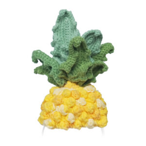 Knitted costume for Loona Premium Pineapple-1