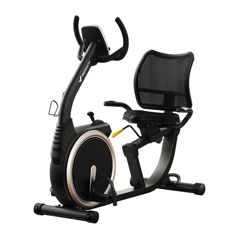 MERACH MR-S19 Recumbent Bike-1