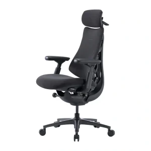 LiberNovo Omni Pro 48 cm Ergonomic Chair (Graphite)-1