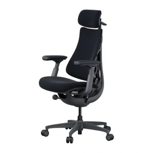 LiberNovo Omni 48 cm Ergonomic Chair (Black)-1