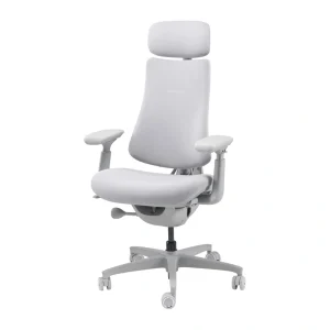 LiberNovo Omni 45 cm Ergonomic Chair (Gray)-1