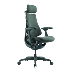 Dynamic Ergonomic Chair LiberNovo Omni (Moss Green)-1